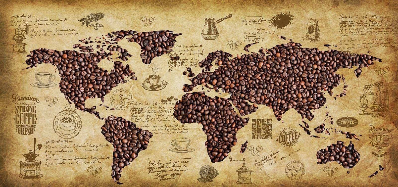 Equipex: Shop coffee beans from around the world